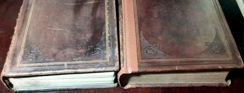 A Standard Dictionary Of The English Language (2 volumes) 1899