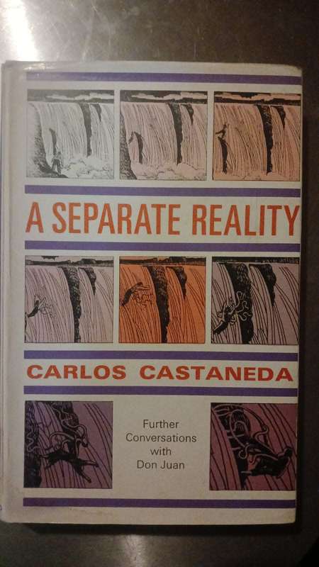 Active Side of Infinity: Carlos Castaneda`s journey with don Juan