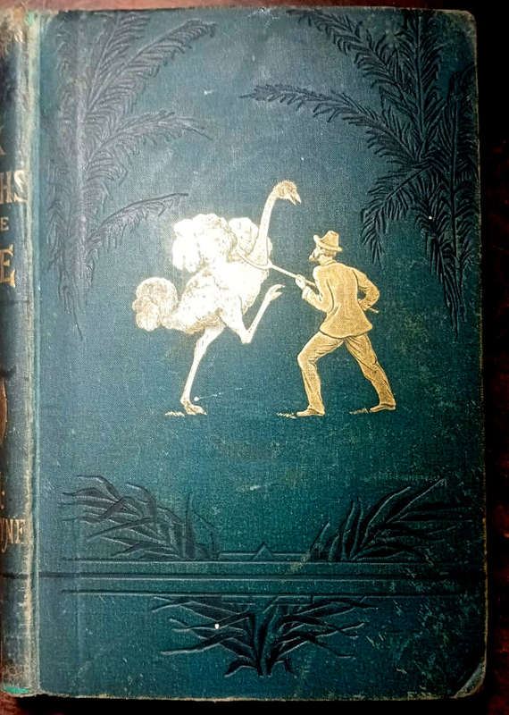 Six Months at the Cape. Or Letters to Periwinkle from South Africa (1879)