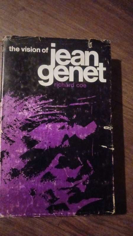 The Vision of Jean Genet