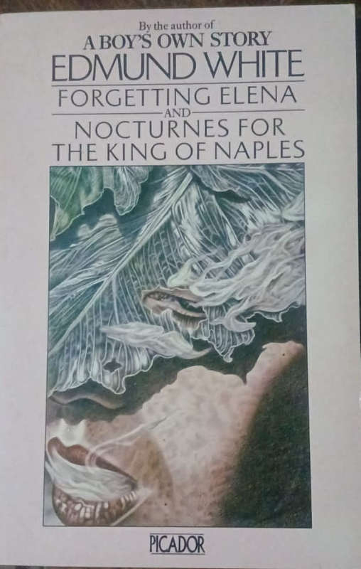 Forgetting Elena and Nocturnes for the King of Naples - Edmund White