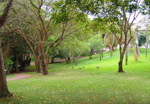 Sanbonani Resort & Spa - Holiday for 7 Days