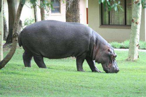 Sanbonani Resort & Spa - Holiday for 7 Days