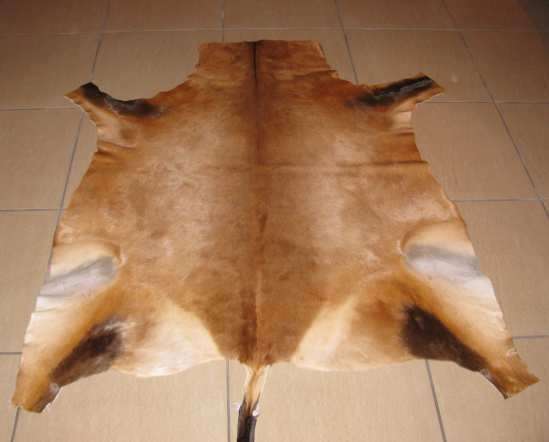 A grade Hartebeest skin