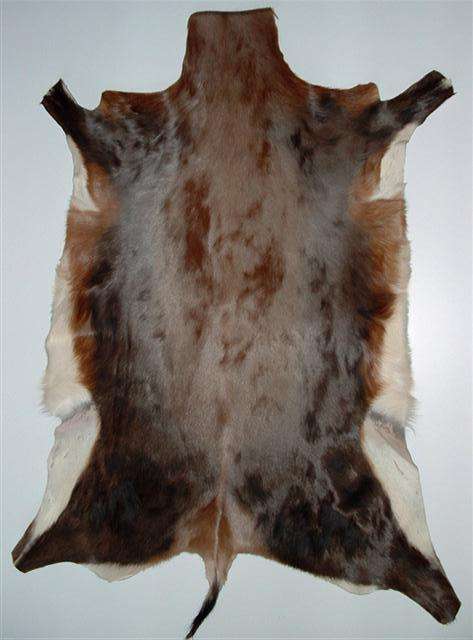 A grade Blesbok skin