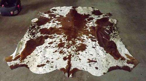 A brown and white Nguni skin