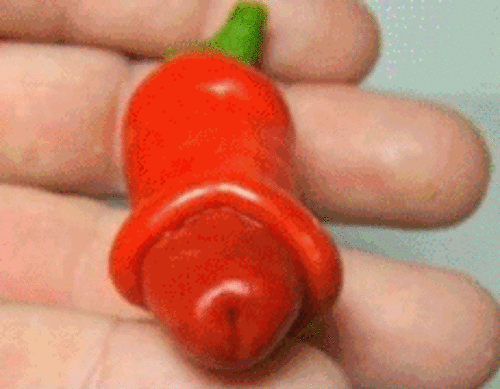 peter pepper willy chilli chilli