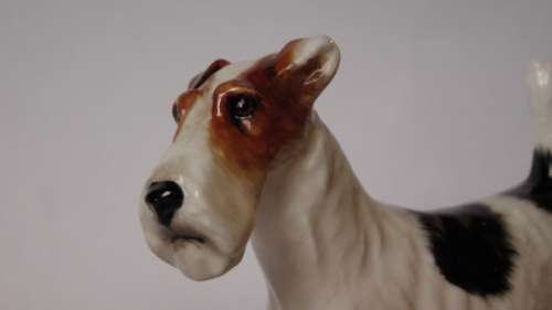 Royal Doulton Rough Haired Terrier HN1014 Crackley Startler Frederick Daws c1931-85 Near Mint