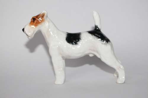 Royal Doulton Rough Haired Terrier HN1014 Crackley Startler Frederick Daws c1931-85 Near Mint
