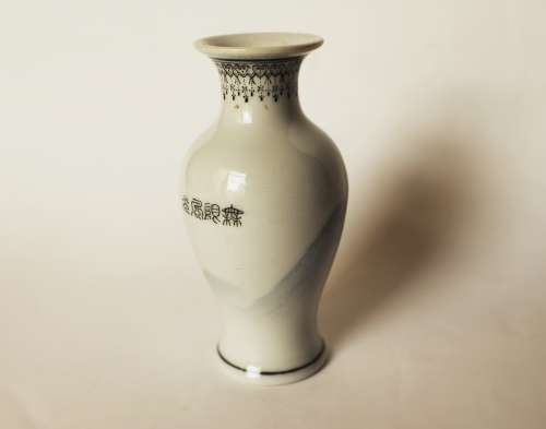 Chinese Jingdezhen porcelain PROC vase landscape calligraphy Oriental Asian art vase China excellent