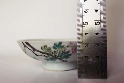 Fine Vintage Chinese Famile Rose Enamel Decorated Porcelain Dish Bird Flowers Calligraphy Bowl Rare