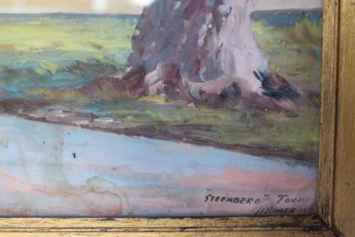 H. Anderson Signed Steenberg Tokai Original Gouache Painting Framed Landscape South African Art