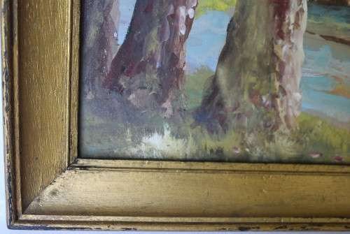 H. Anderson Signed Steenberg Tokai Original Gouache Painting Framed Landscape South African Art