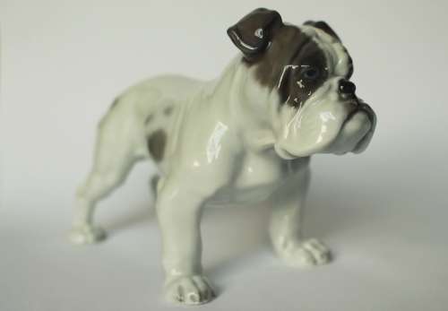 Vintage Rosenthal English Bulldog Porcelain Animal Figurine 345 c 1920 Germany Near Mint