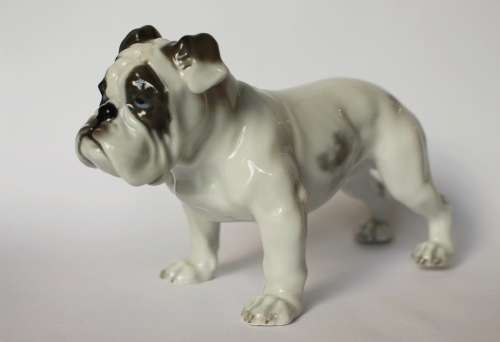 Vintage Rosenthal English Bulldog Porcelain Animal Figurine 345 c 1920 Germany Near Mint