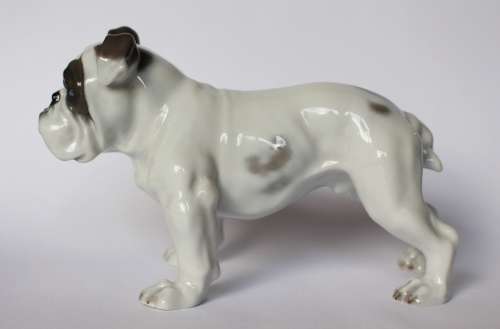 Vintage Rosenthal English Bulldog Porcelain Animal Figurine 345 c 1920 Germany Near Mint