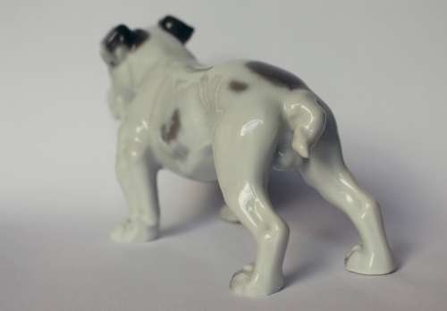 Vintage Rosenthal English Bulldog Porcelain Animal Figurine 345 c 1920 Germany Near Mint