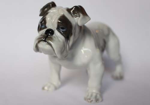 Vintage Rosenthal English Bulldog Porcelain Animal Figurine 345 c 1920 Germany Near Mint