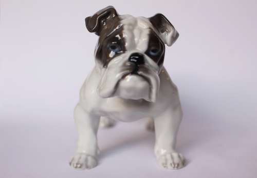 Vintage Rosenthal English Bulldog Porcelain Animal Figurine 345 c 1920 Germany Near Mint