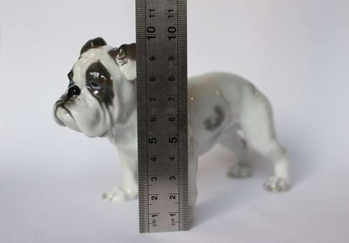 Vintage Rosenthal English Bulldog Porcelain Animal Figurine 345 c 1920 Germany Near Mint