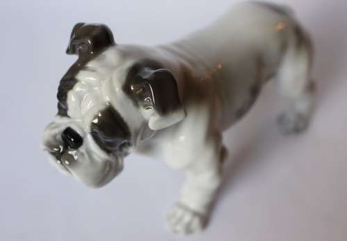 Vintage Rosenthal English Bulldog Porcelain Animal Figurine 345 c 1920 Germany Near Mint