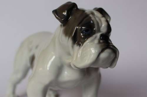 Vintage Rosenthal English Bulldog Porcelain Animal Figurine 345 c 1920 Germany Near Mint
