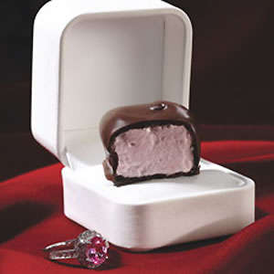 **E-BOOK #20** Chocolate Treat Recipes