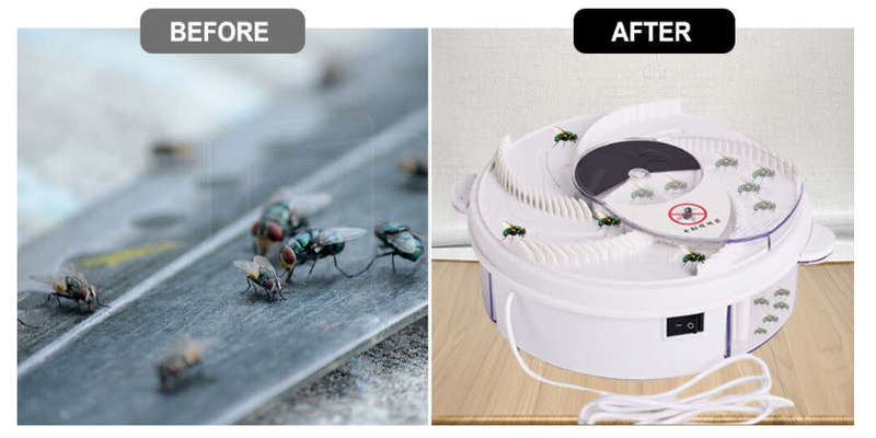 Electronic Fly Trap