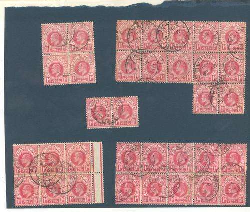 NATAL 1902 -1d - Blocks of 12, 10, 8, 4 en 2 - Used