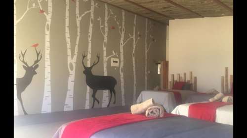 Pielanshoek Oak Cottage Bethlehem/Clarens 10 Sleeper -  3 Night Midweek Stay!
