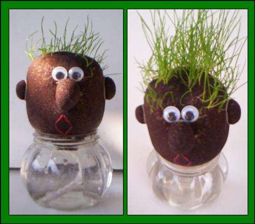 GRASS HEAD - Grow your own styles!!!!
