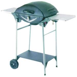 GAS BRAAI WITH STAND ***BRAND NEW***