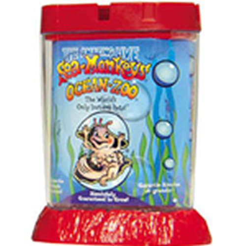 LIVE SEA MONKEYS STARTER KIT ***IMPORTED FROM USA***