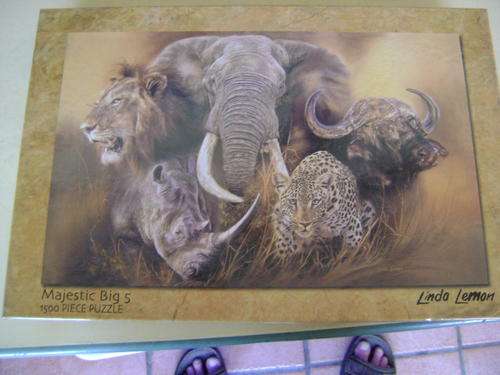 1500 PICE PUZZLE - MAJESTIC BIG FIVE RGS GROUP