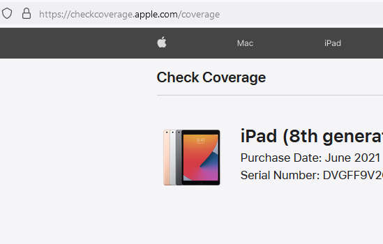 IPAD APPLE