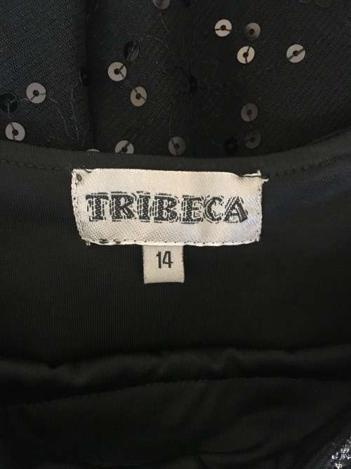 Tribeca 1920 black flapper dress with drop-waste detail