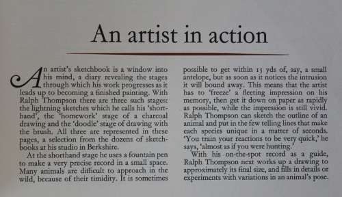 Animals through the eyes of an artist-A sketchbook by Ralph Thompson