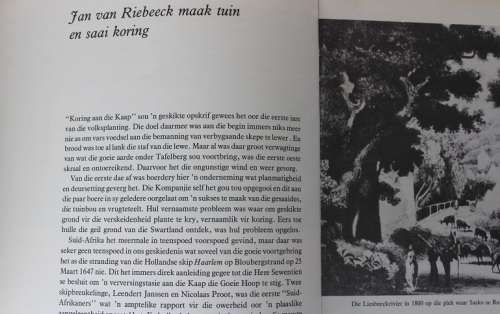 Brood uit die koring deur Piet Meiring Sasko