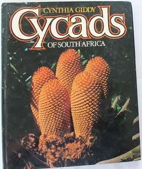 Cycads of South Africa by Cynthia Giddy