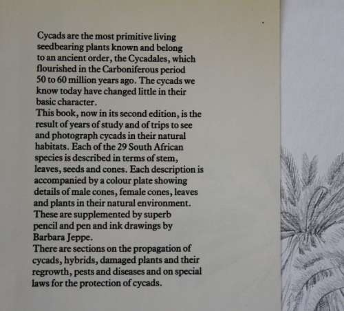 Cycads of South Africa by Cynthia Giddy