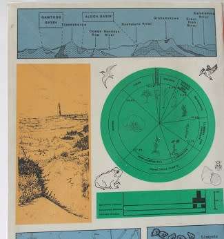 A guide to the Eastern Cape coast edited by R.A. Lubke-F.W. Gess & M.N. Bruton. A Wildlife handbook