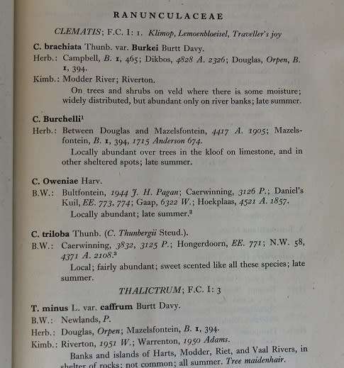 Preliminary check list of the Flowering Plants and Ferns of Griqualand West by M. Wilman