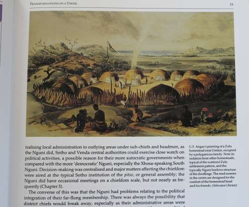 The Roots of Black Africa by David Hammond-Tooke