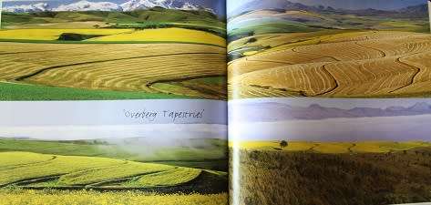 Overberg Tapestry by Leslie Howard