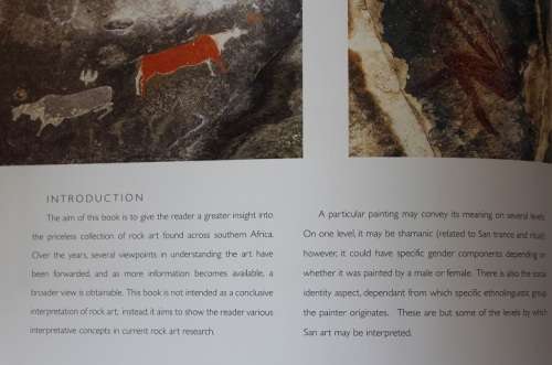 Busman Rock Art South Africa by Gavin Anderson