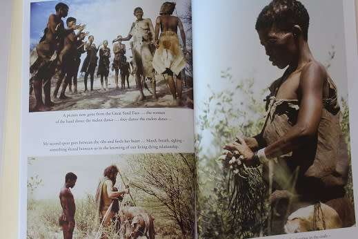 The Bushman winter has come by Paul John Myburgh.