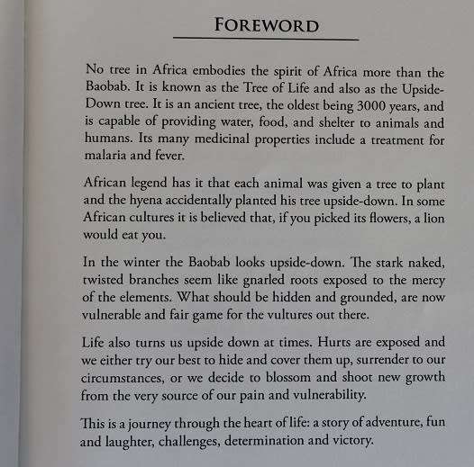 Into Africa by Cecile De Neuilly-Rice.