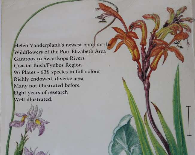 Wildflowers of the Port Elizabeth area by Helen J. Vanderplank. Gamtoos to Swartkops rivers.