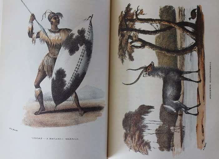Wild sports of Southern Africa by Captain Sir William Cornwallis Harris