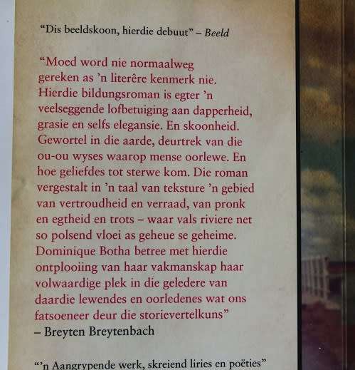 Valsrivier deur Dominique Botha